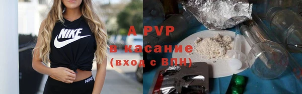 дмт Абаза
