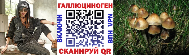 Галлюциногенные грибы прущие грибы  Лермонтов 